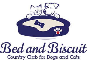Bed and Biscuit of Ithaca
